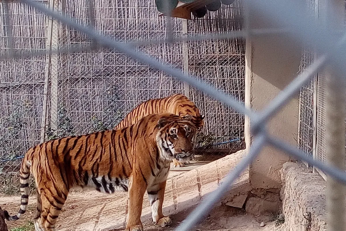 Antalya Zoo photo 1