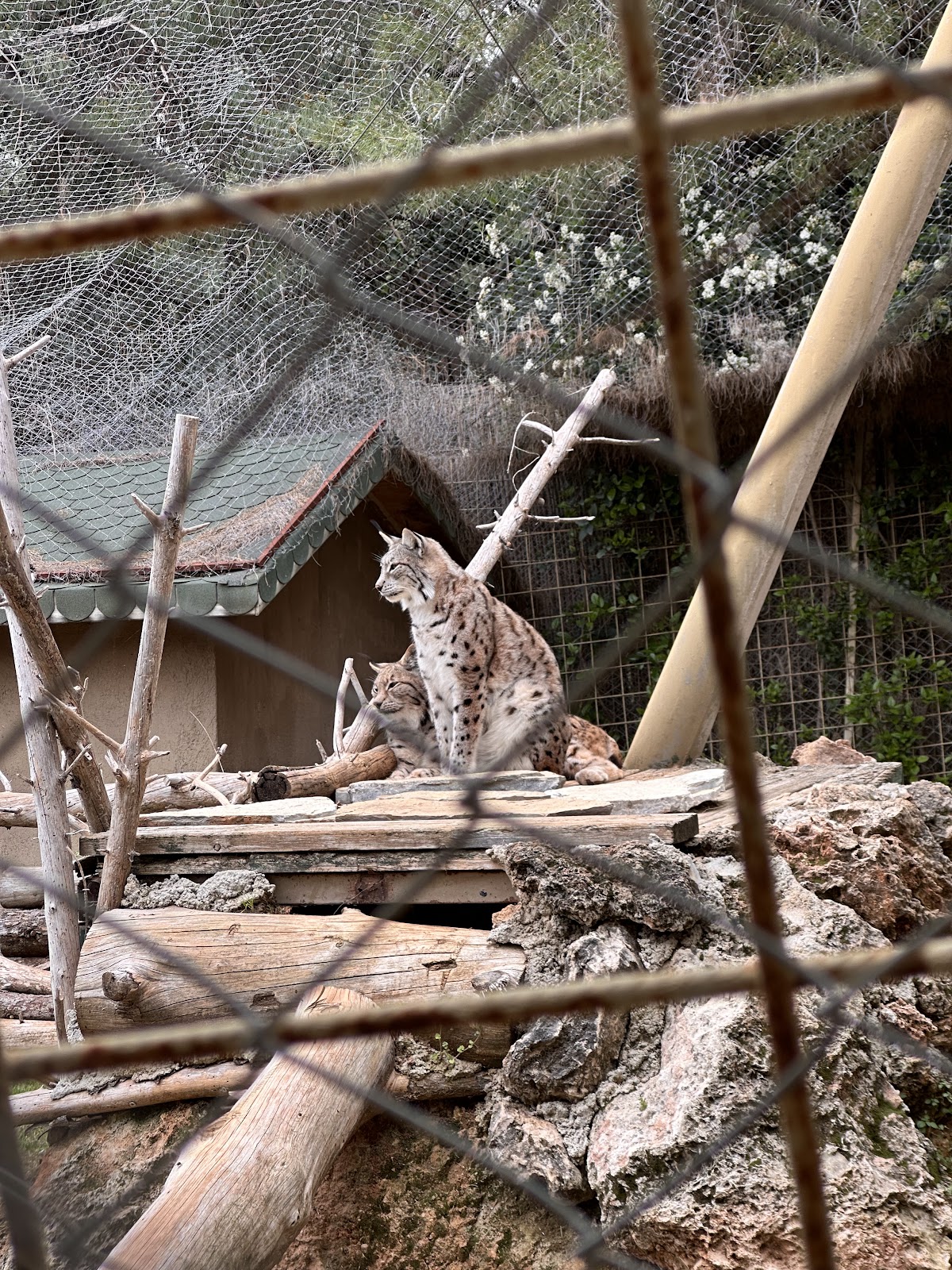 Antalya Zoo photo 9