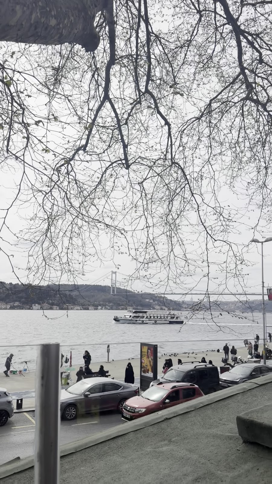 Emirgan Sütiş photo 14