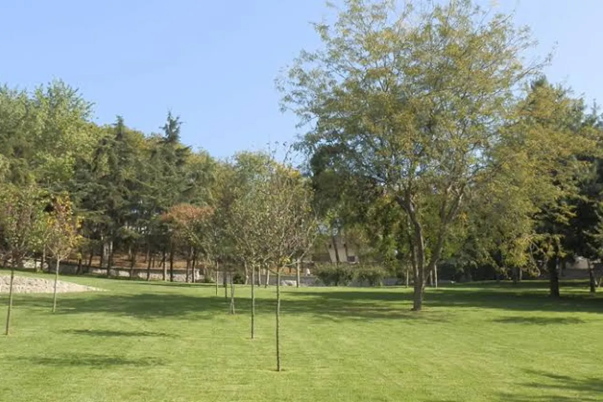 İBB Maçka Democracy Park photo 1