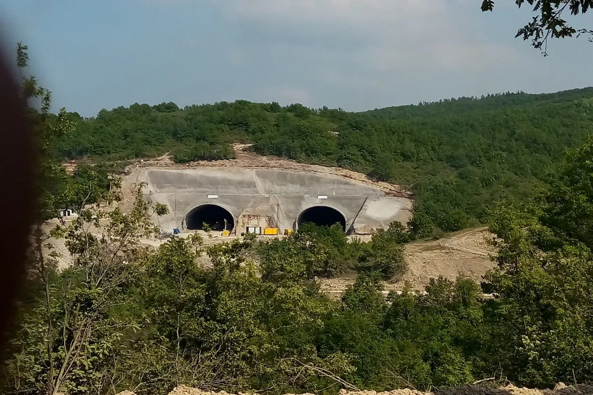 Zübeyde Hanım Forest photo 1