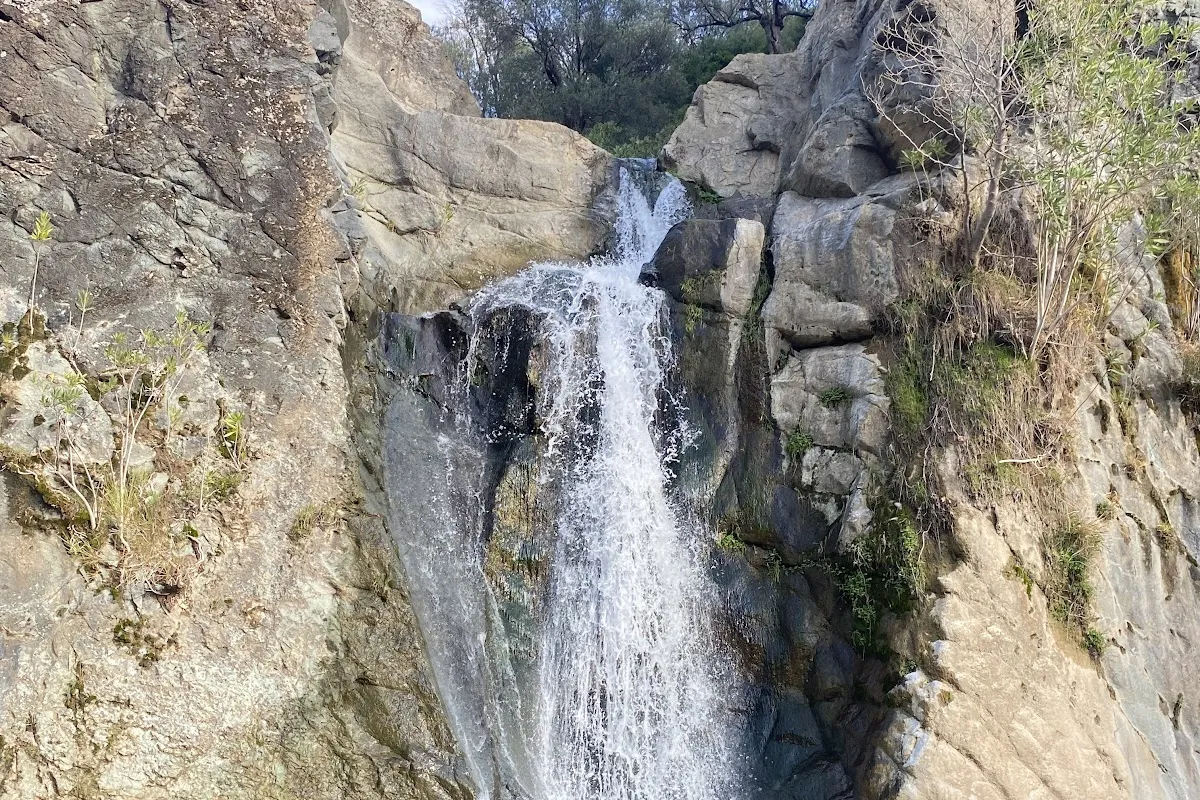 Ece Çağlayanı photo 1