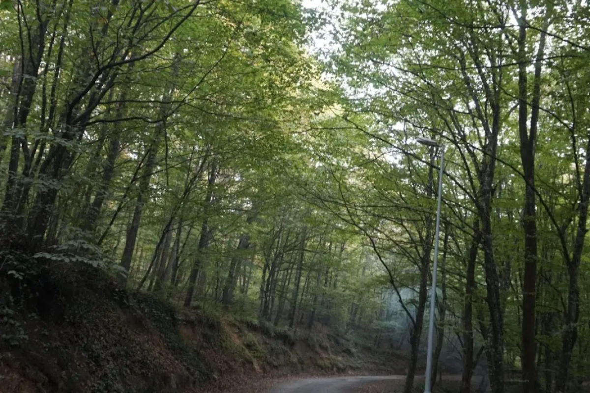 Kirazlıbent Nature Park photo 1