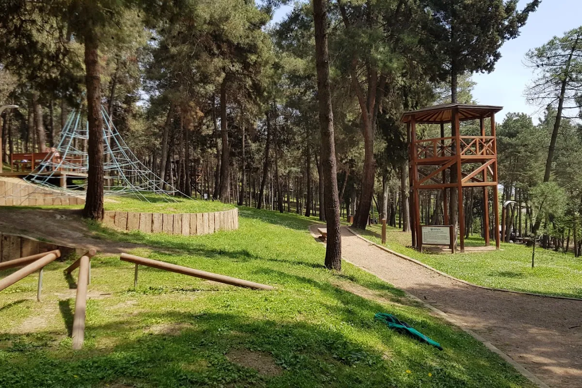 Şirintepe Pine Grove Park photo 1