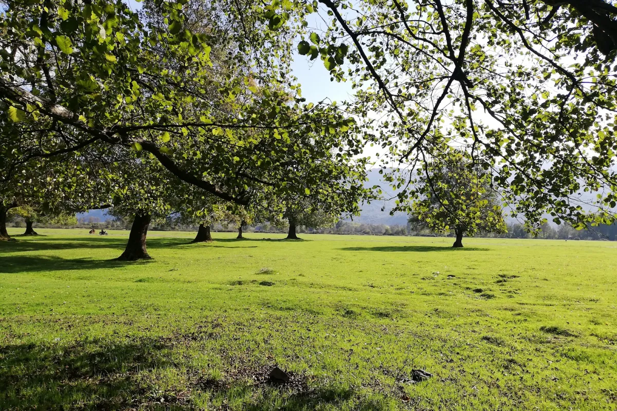 Gölyaka Kültür Park photo 1