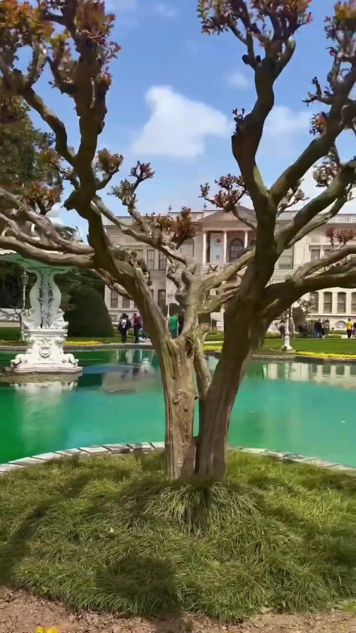 Dolmabahçe Palace photo 5