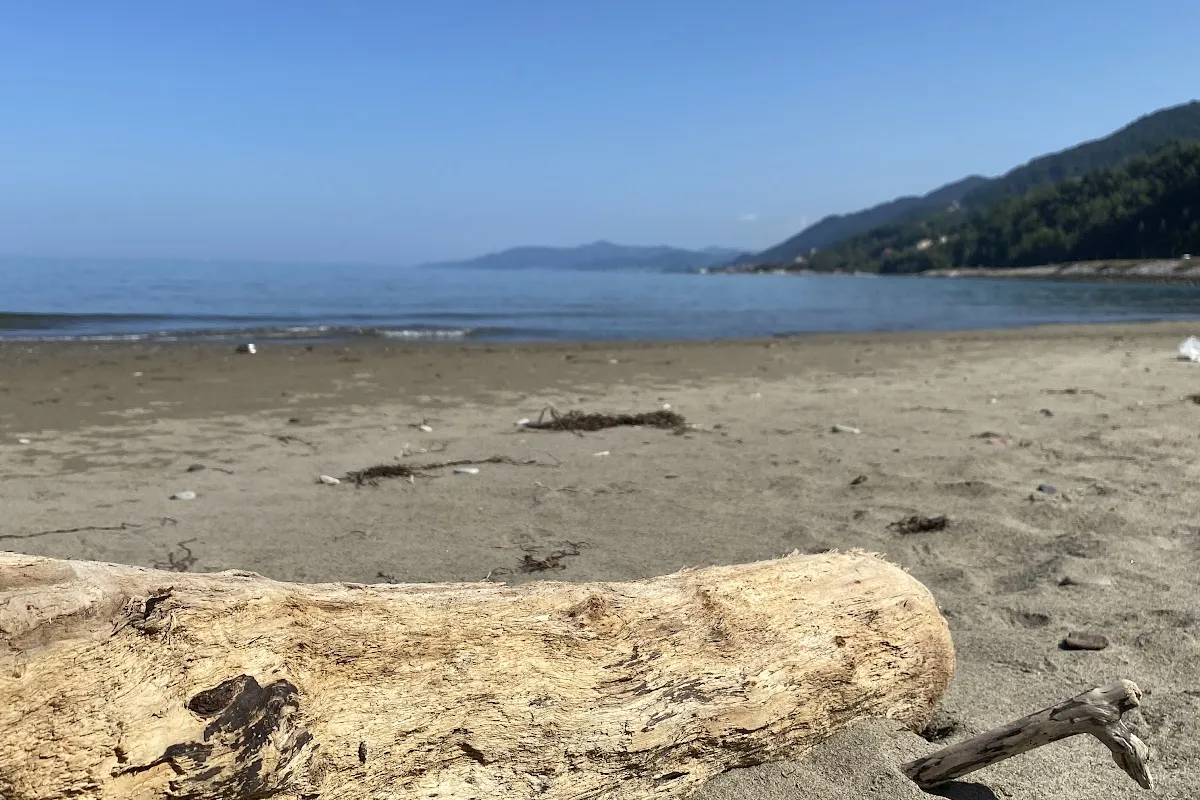 Ginolu Beach photo 1