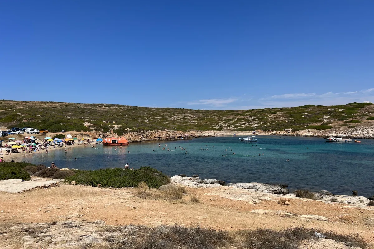 AKVARYUM KOYU photo 1