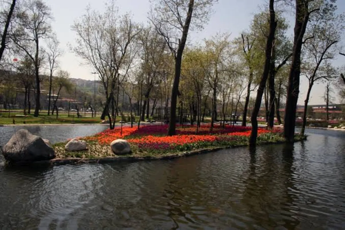 Hasbahçe Picnic Area photo 1
