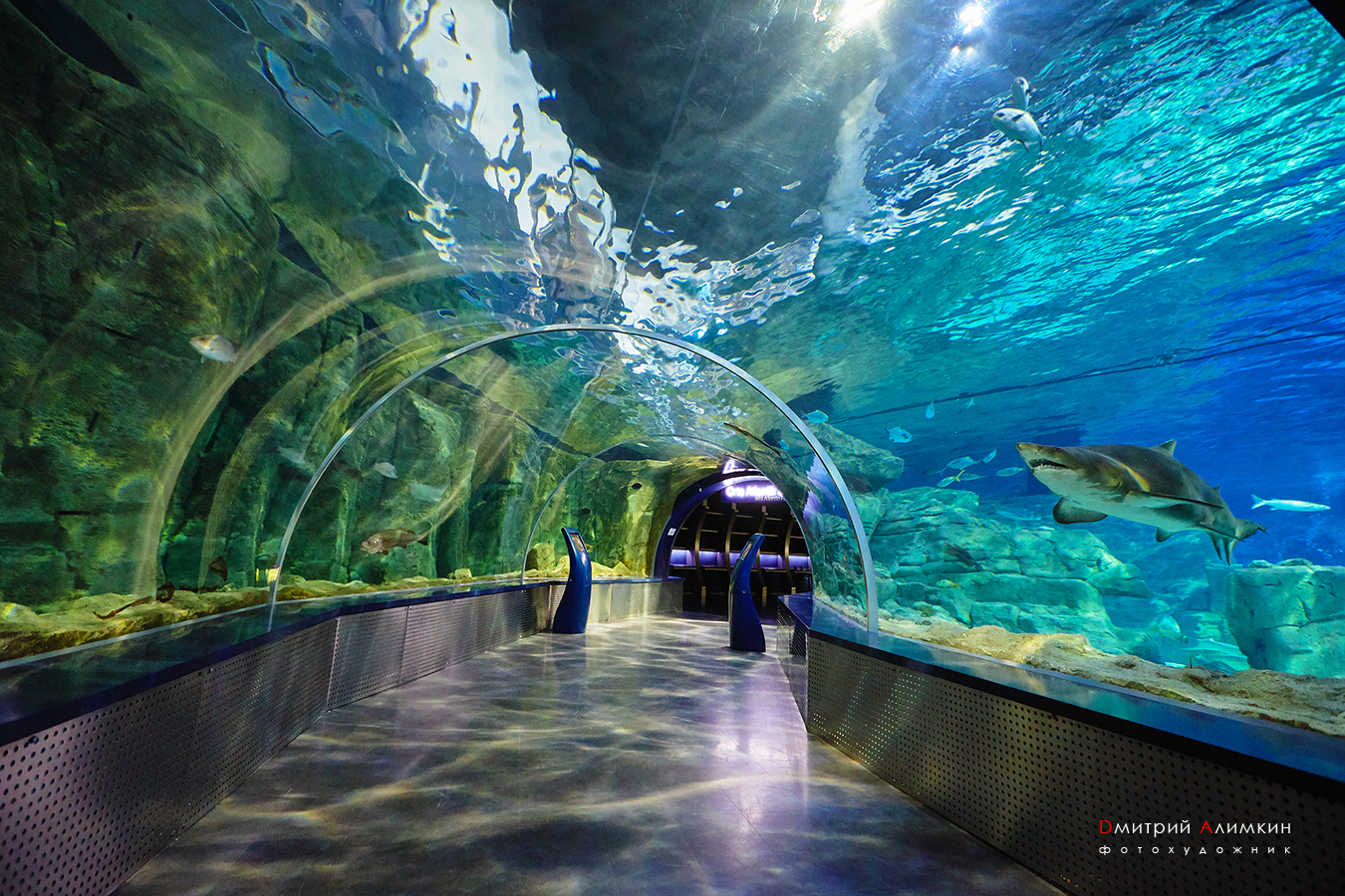 Istanbul Aquarium photo 7