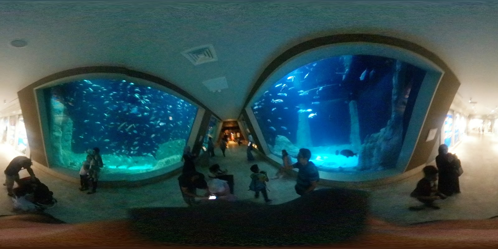 Istanbul Aquarium photo 5