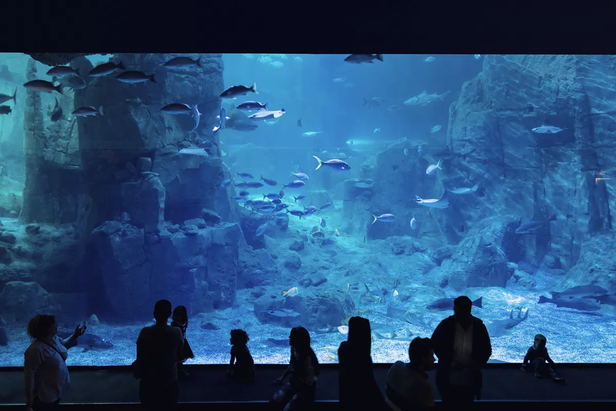 Istanbul Aquarium photo 1