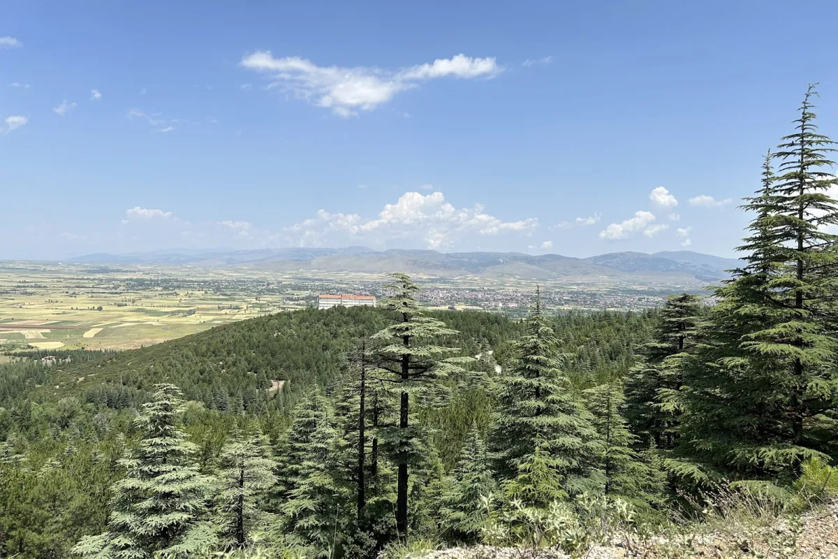 Red Mountain National Park photo 1