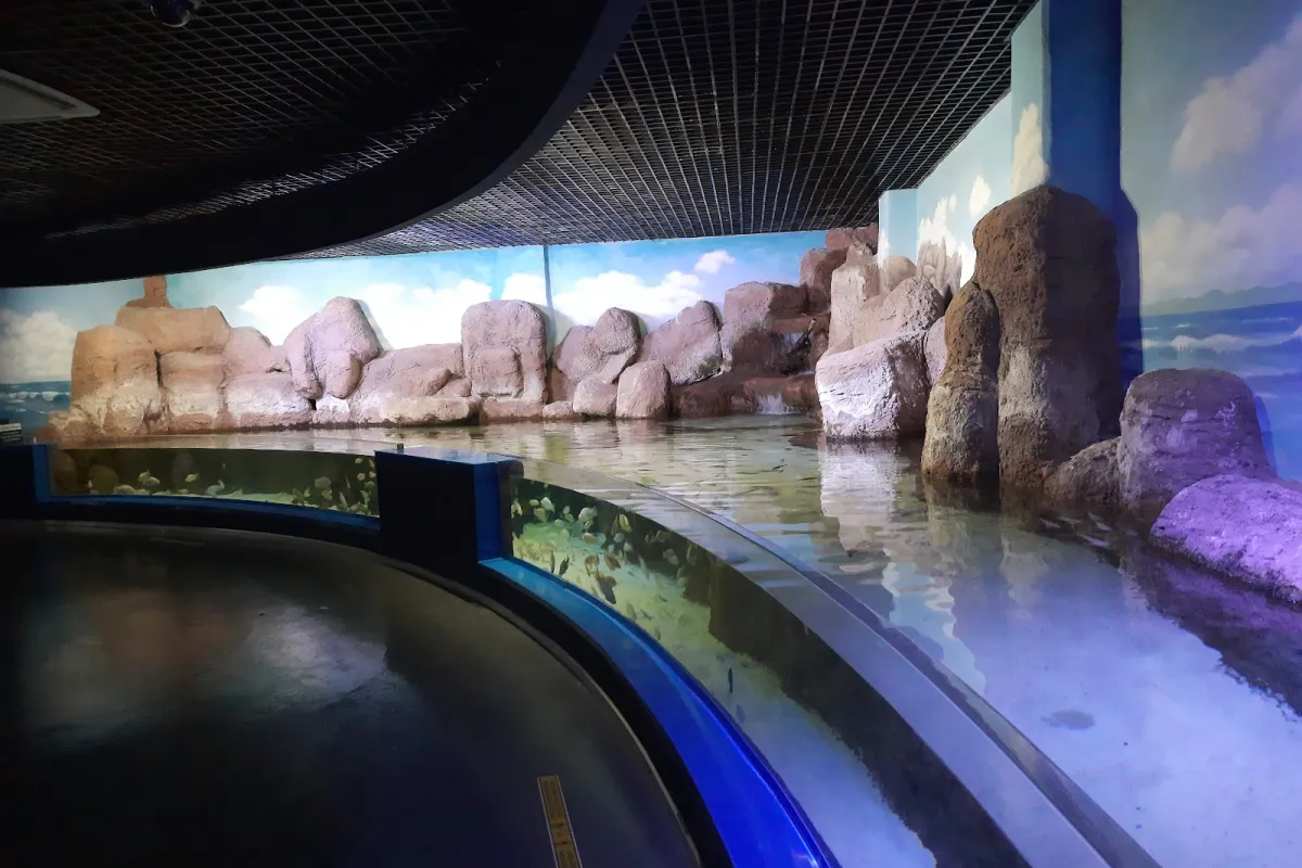 Eskişehir Metropolitan Municipality ETI Underwater World photo 1