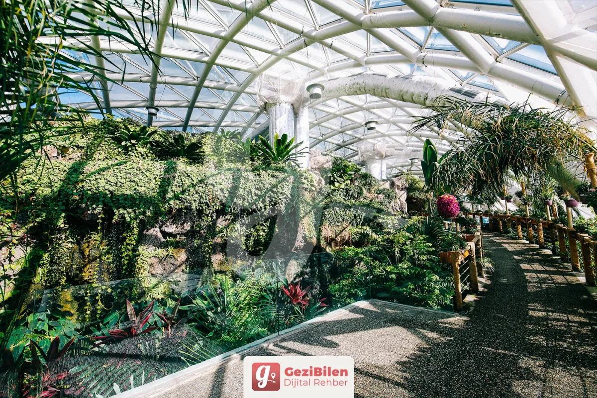 Konya Tropical Butterfly Garden photo 1