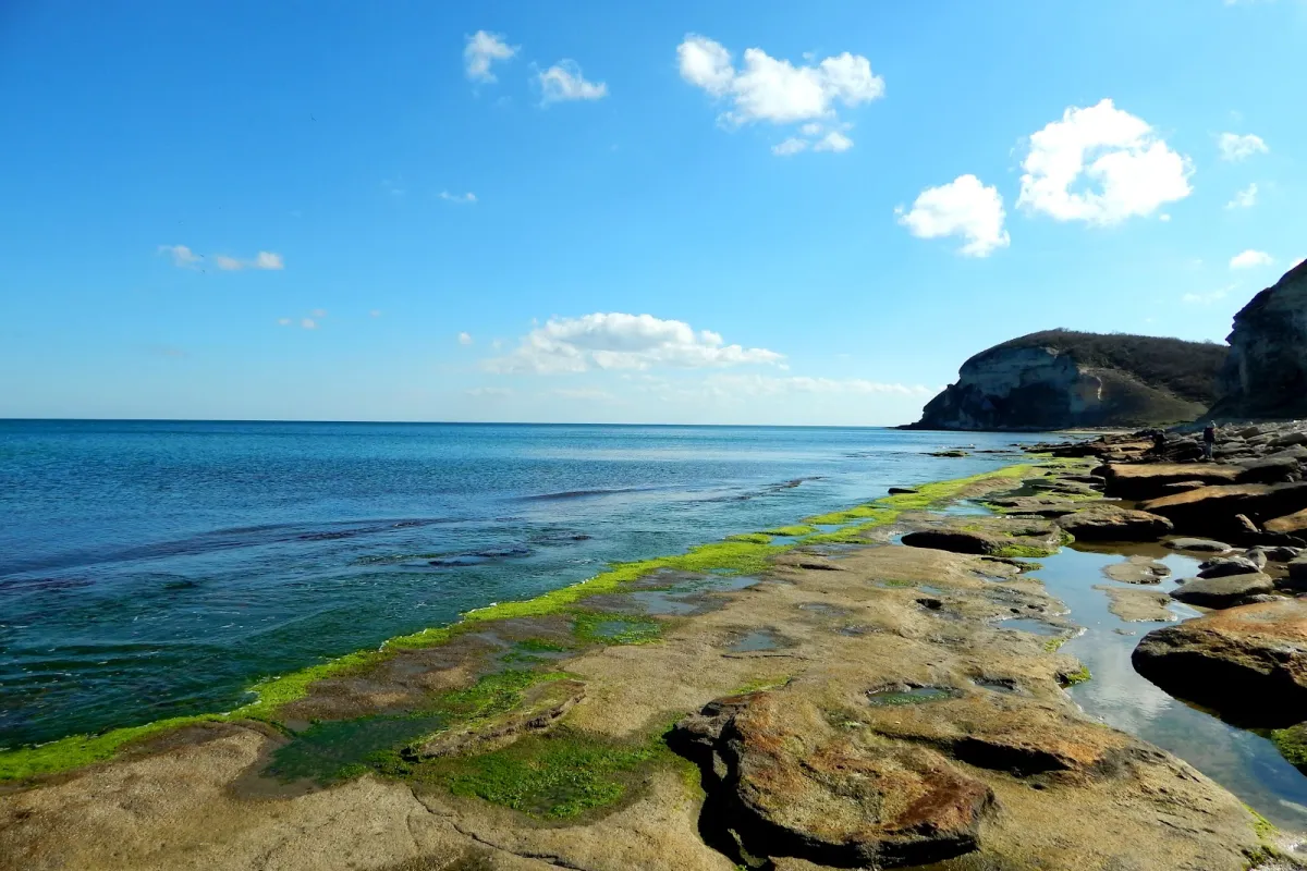 Kıyıköy Coast photo 1