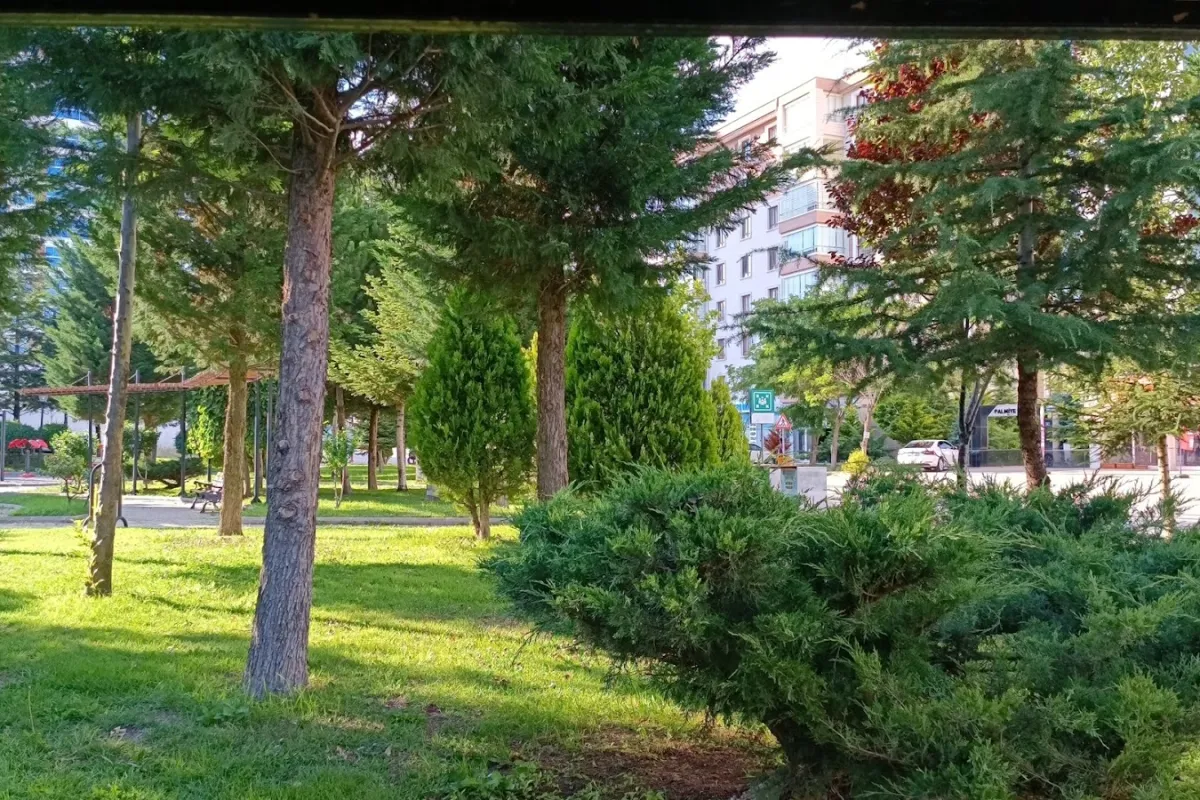 Sinan Hitay Parkı photo 1