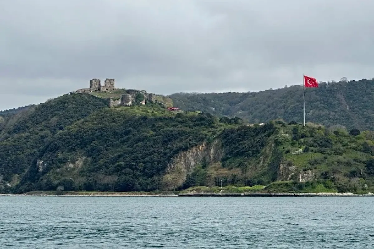 Yoros Castle photo 1