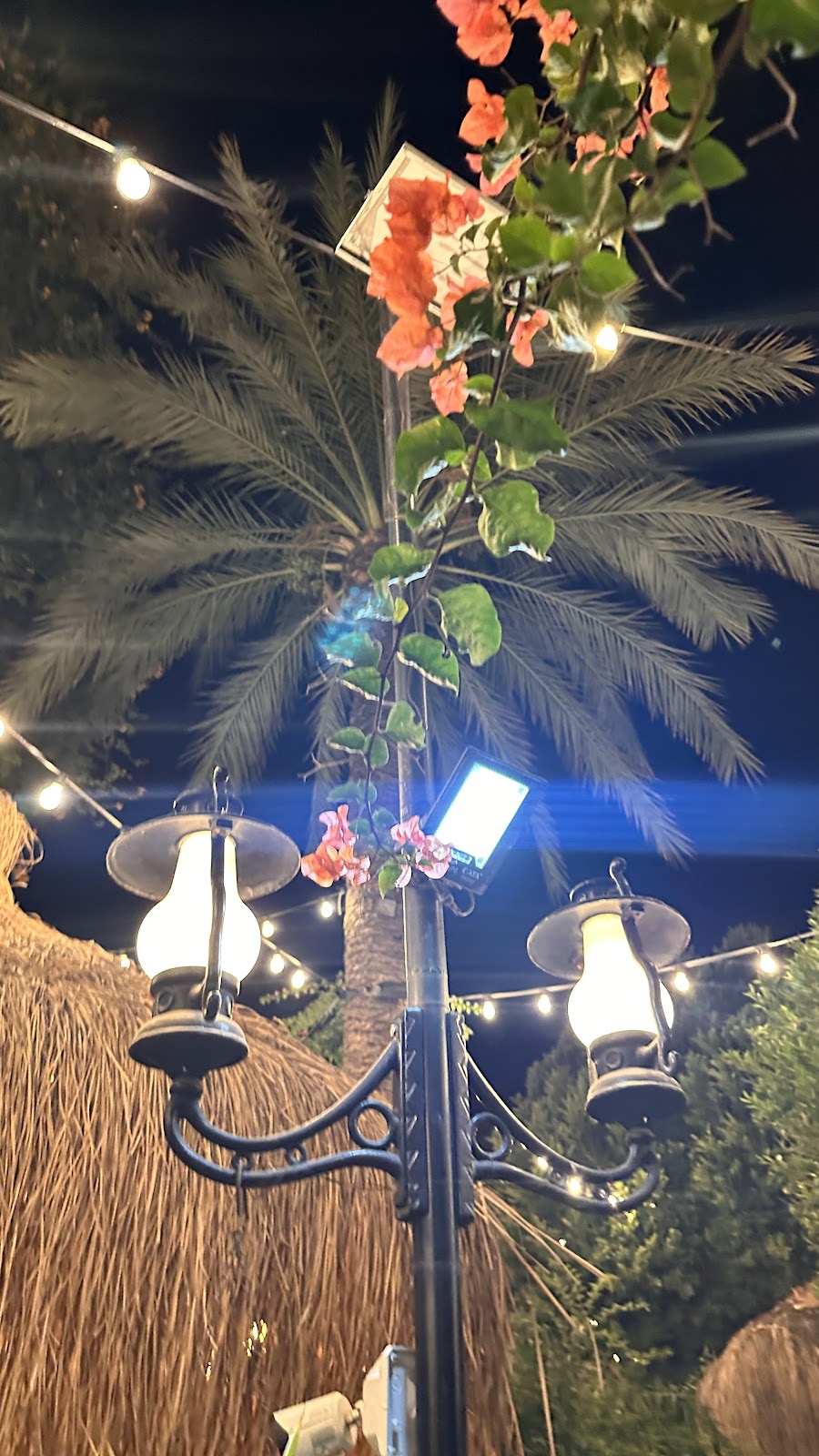 LUNA GARDEN photo 7