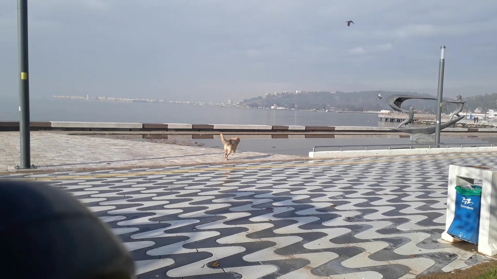 Bayraklı Sahil photo 7