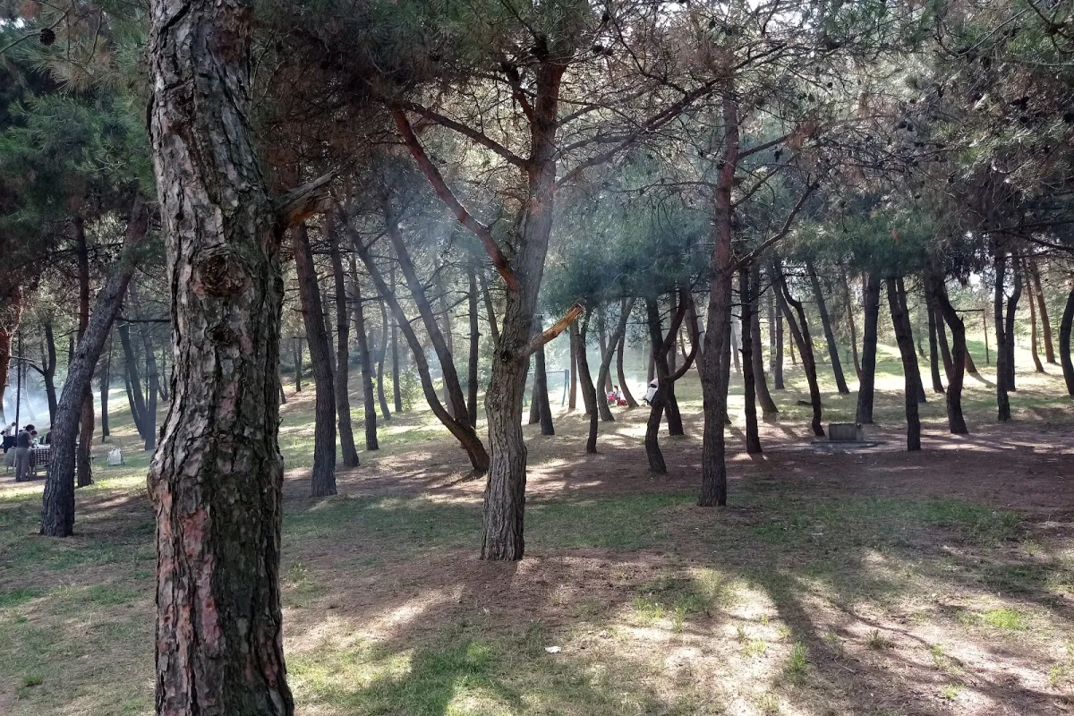 Cenedere Picnic Ground photo 1
