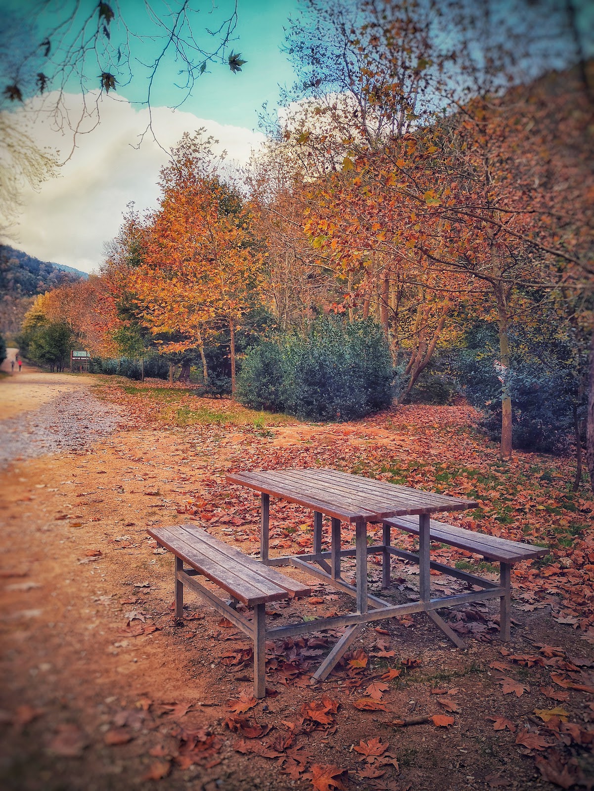 Cenedere Picnic Ground photo 6