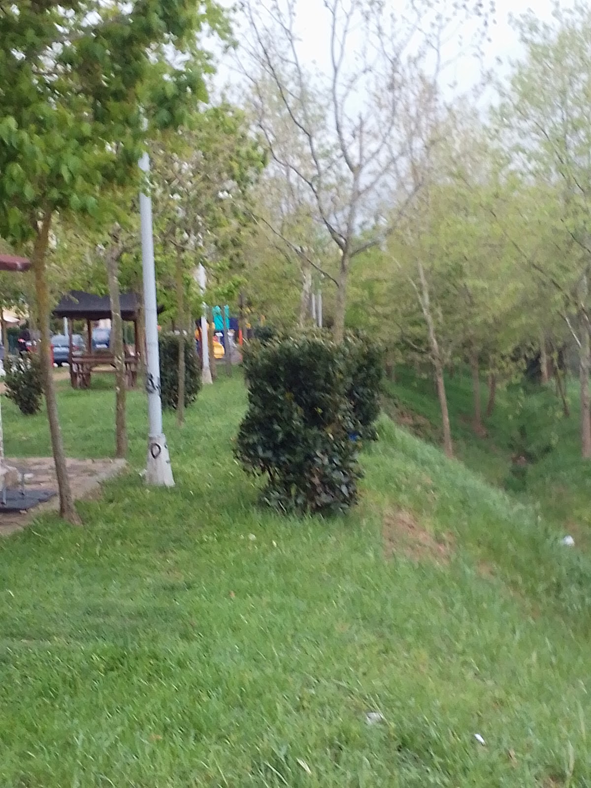 Cenedere Picnic Ground photo 10