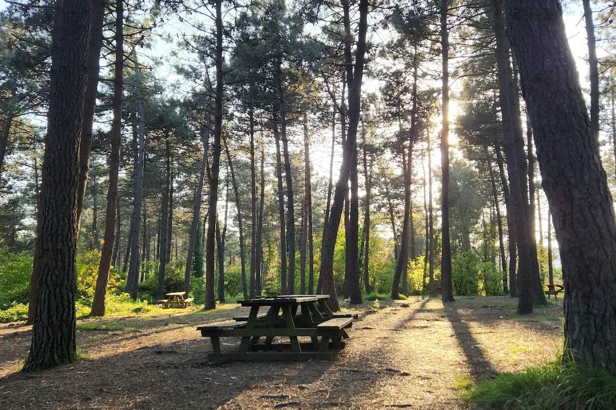 Reşadiye Picnic Area photo 1
