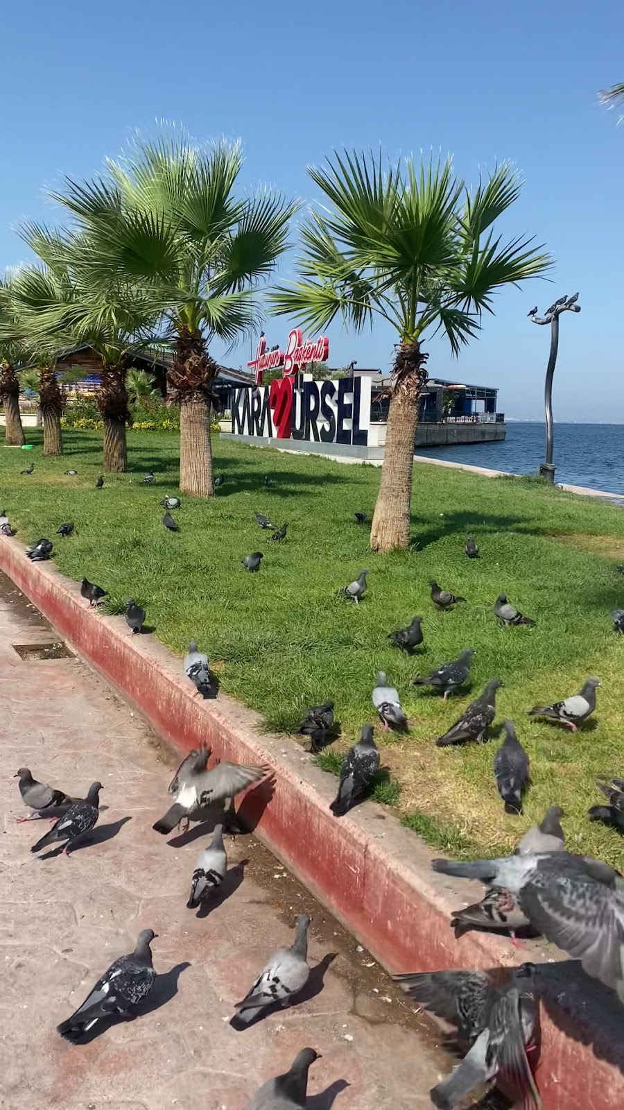 Karamursel Coast photo 7