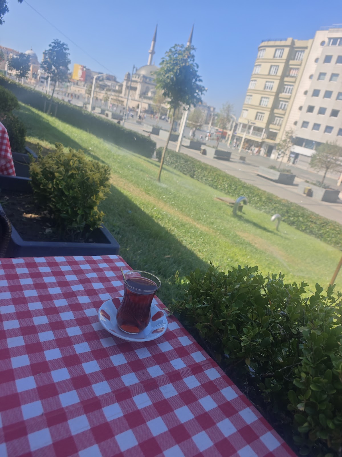 İBB Taksim Gezi Parkı photo 5