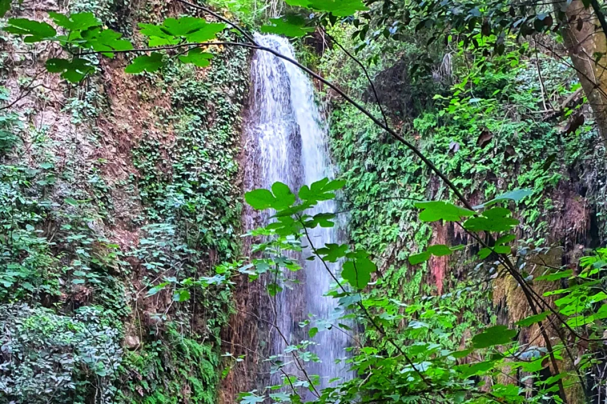 Gizlikent Şelalesi photo 1