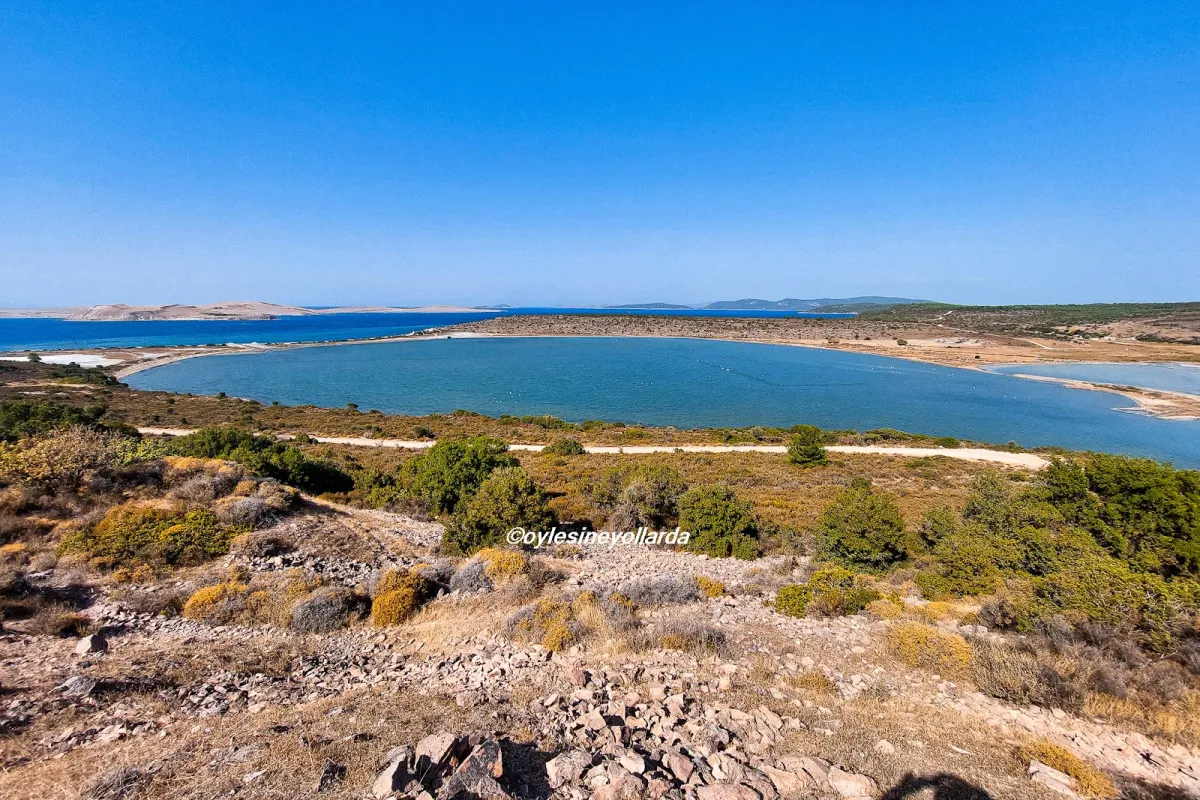 Ayvalık Badavut Tabiat Parkı photo 1