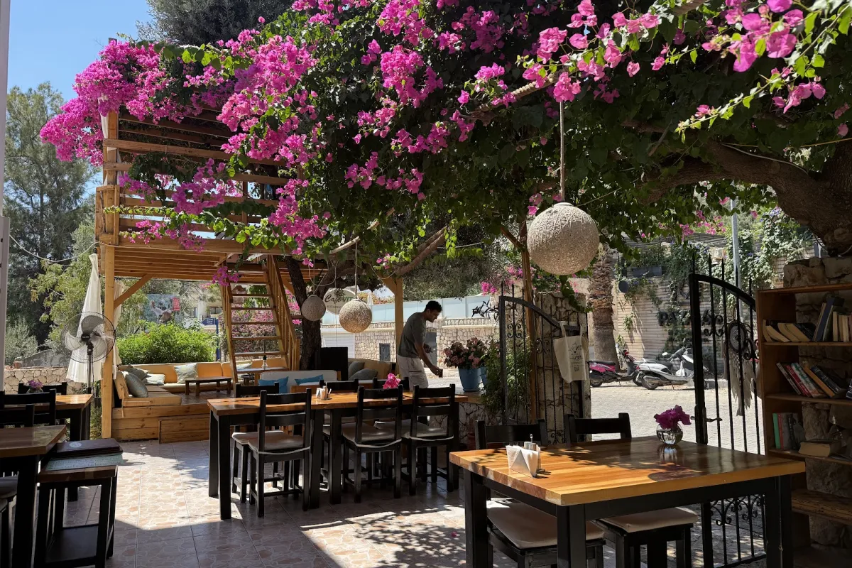 Cafe Vita Kalkan photo 1