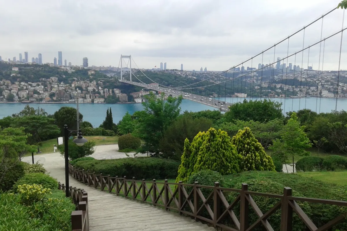 Otağtepe Fatih Grove photo 1