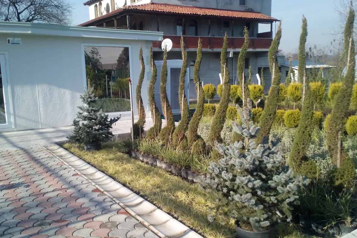 Canli Bahce photo 1
