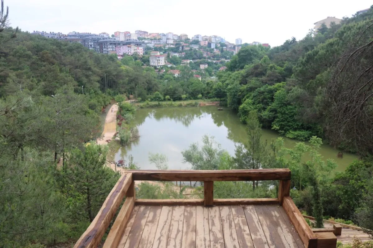 Ataturk Urban Forest photo 1