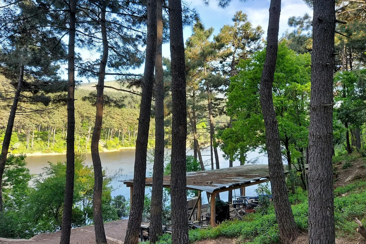 Aydos Forest Lake photo 1
