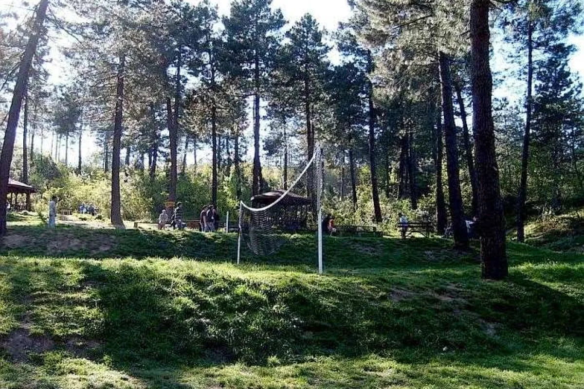 Kocaeli Kent Ormanı photo 1