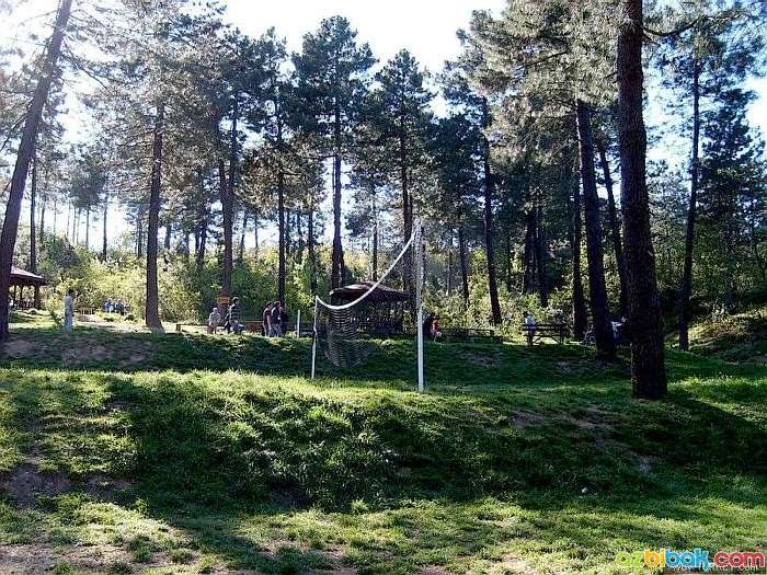 Kocaeli Kent Ormanı photo 3