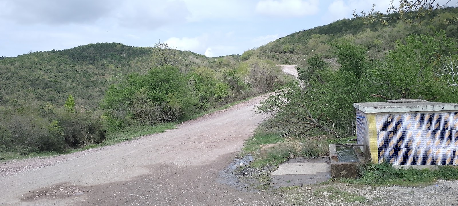 Kocaeli Kent Ormanı photo 8