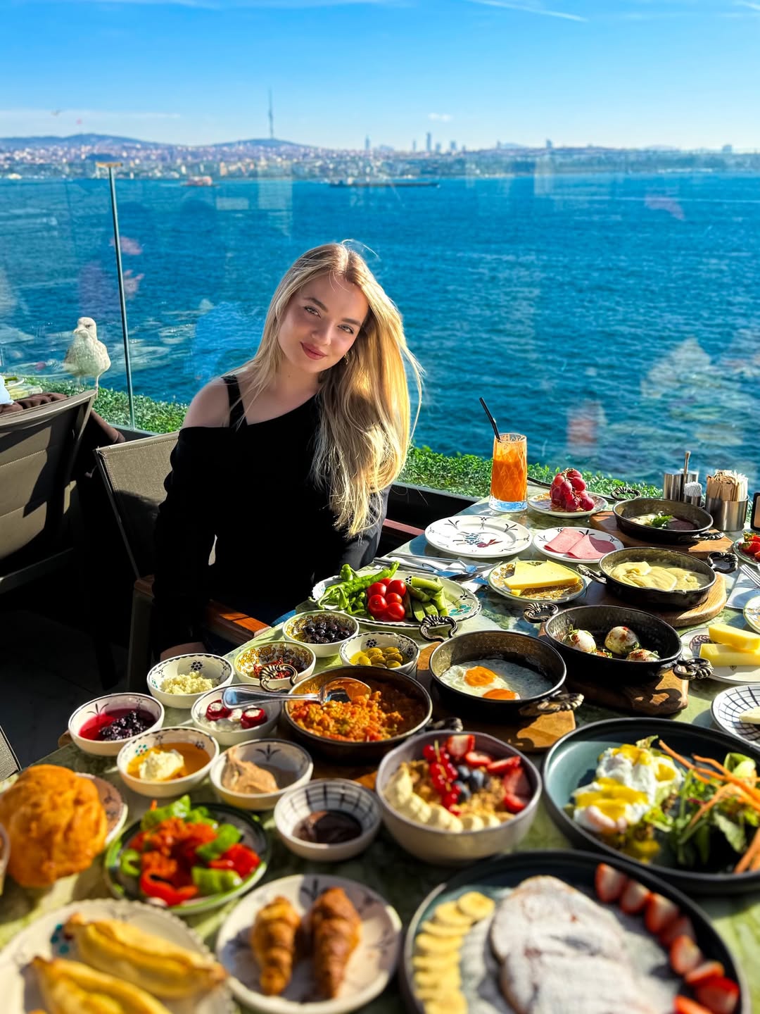Loi Bosphorus photo 10