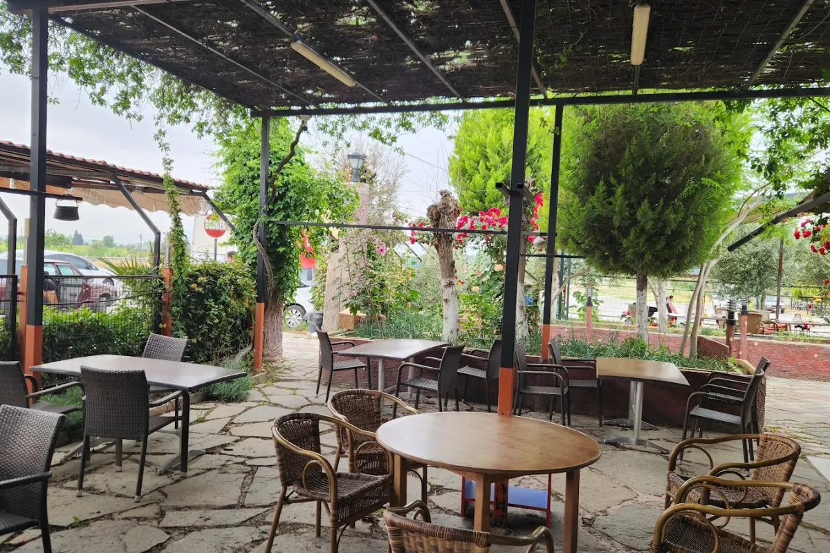 Meydanoglu photo 1
