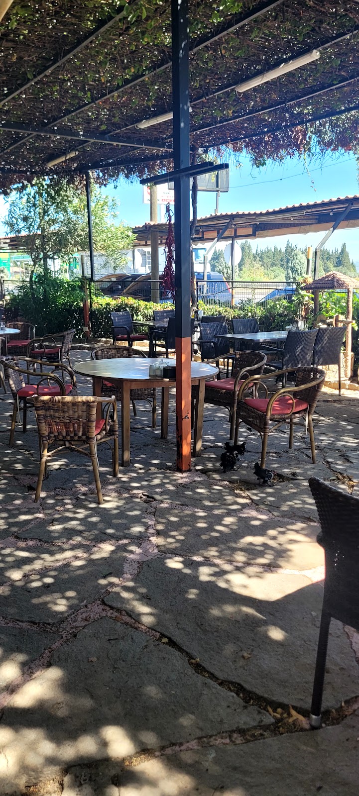 Meydanoglu photo 6