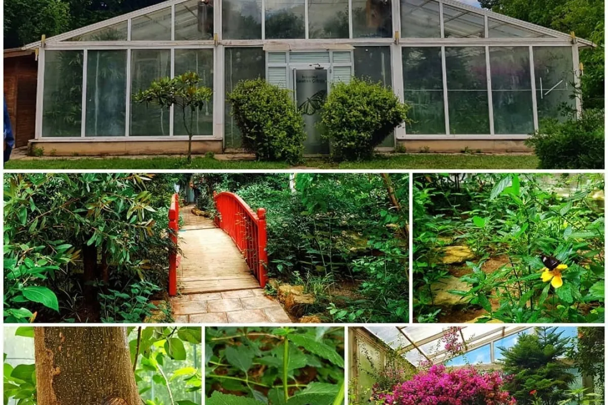 Istanbul Butterfly Farm photo 1