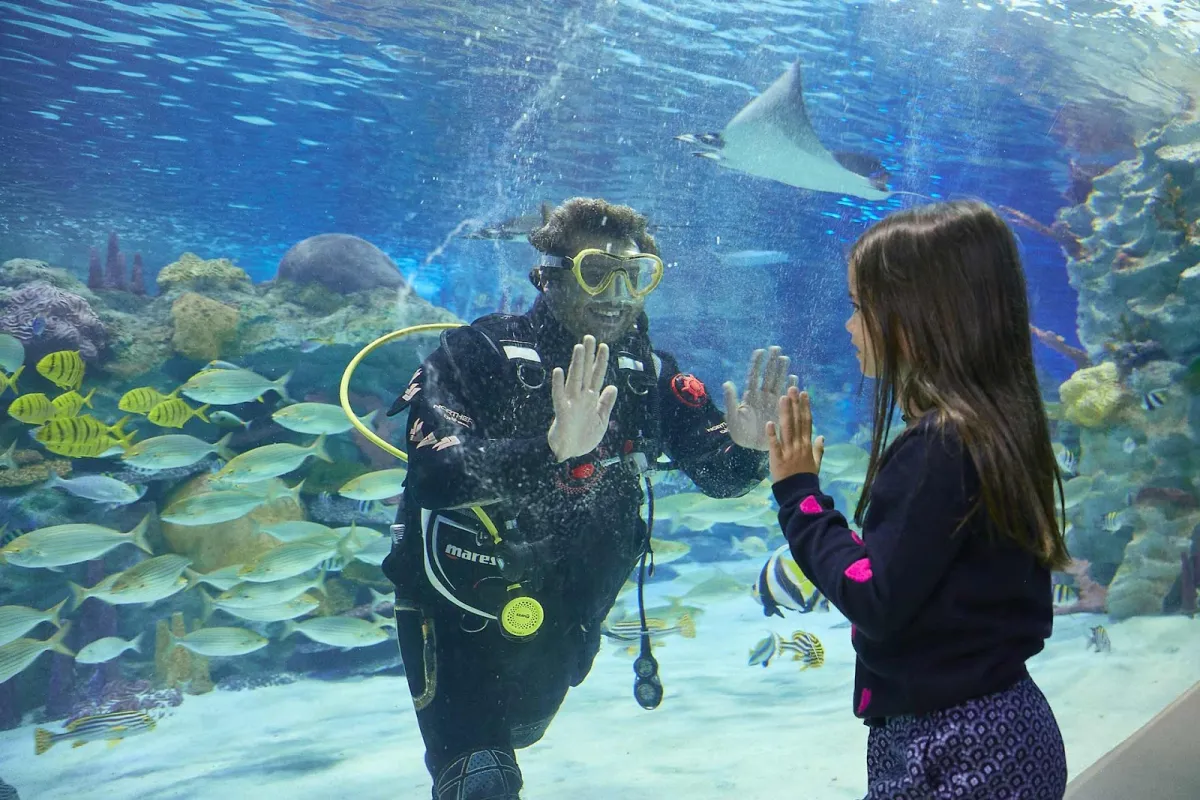 Emaar Akvaryum photo 1