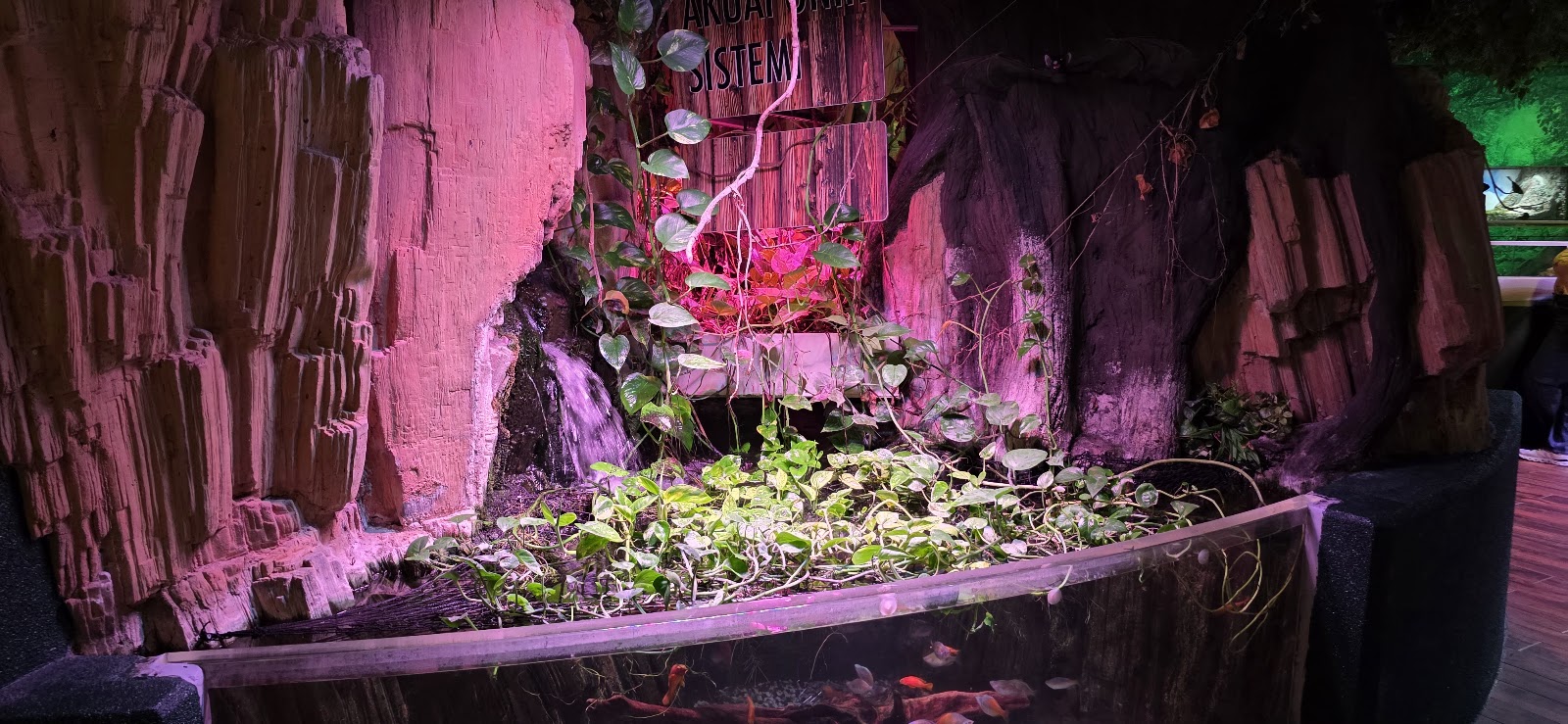 Emaar Akvaryum photo 11