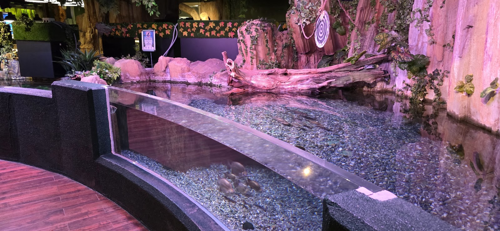 Emaar Akvaryum photo 12