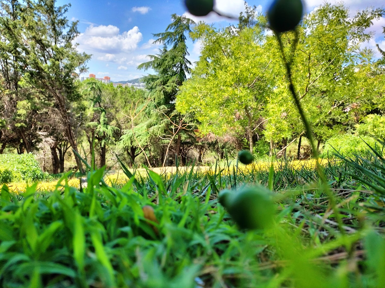 İBB Gözdağı Sosyal Tesisi photo 3