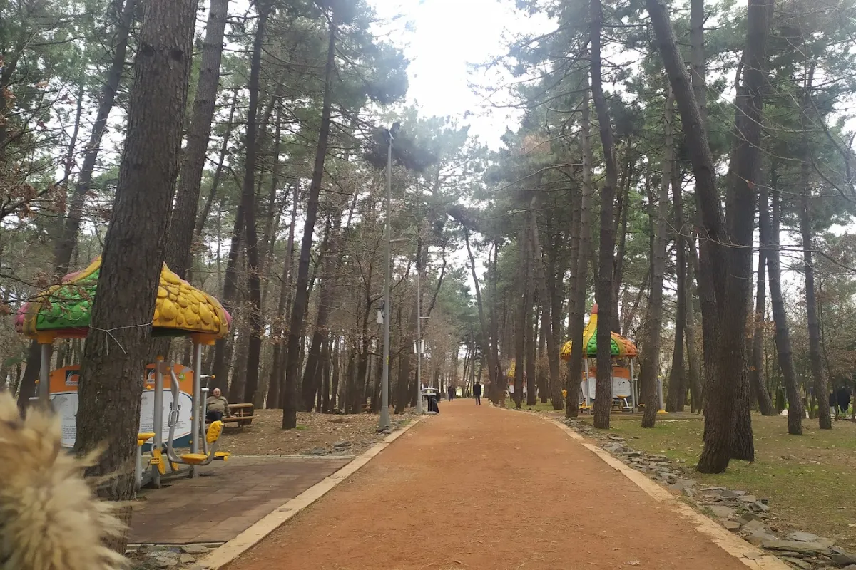 Cekmekoy Nature Park photo 1