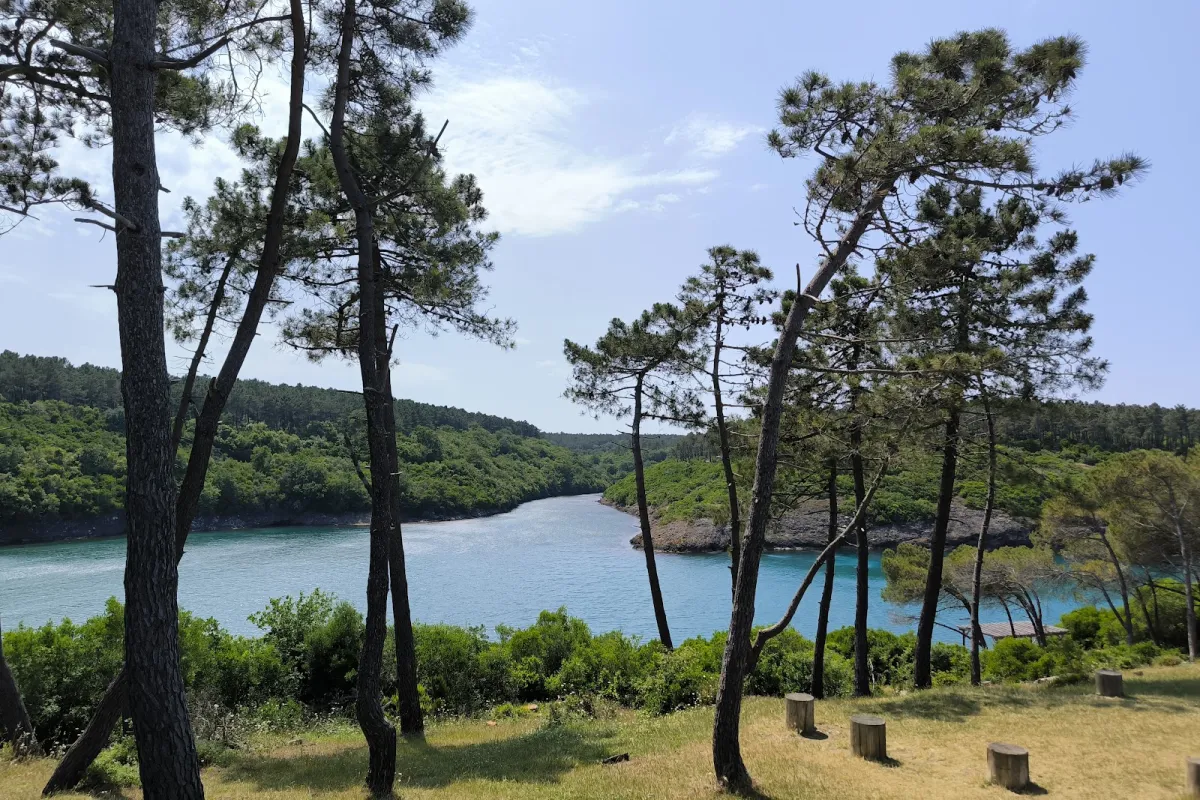 Hamsilos Nature Park photo 1